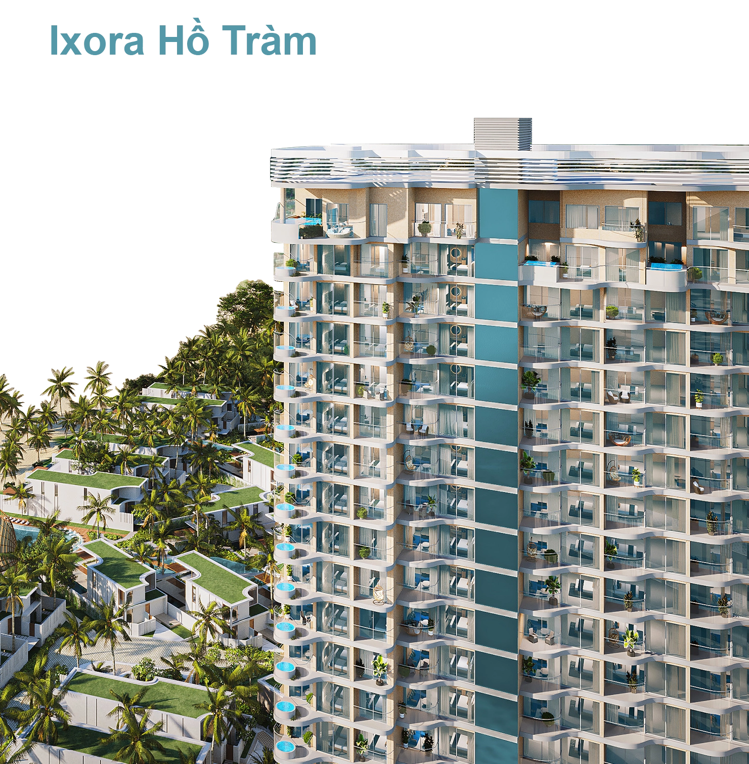 Ixora Hồ Tràm